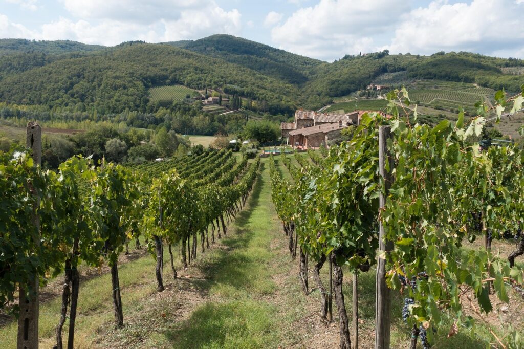 Autunno in Toscana: passeggiate tra castagneti secolari, borghi in pietra e agriturismi bio chianti toscana